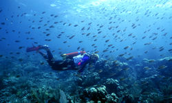 Deep Sea Diving