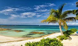 Great Stirrup cay beach
