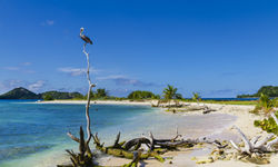 Beach view