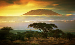 Peak of Kilimanjaro, Tanzania