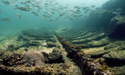 wreck diving