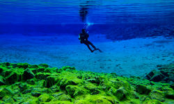 fresh water diving in Iceland 
