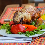 Guinea pig