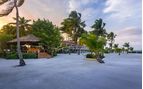 Turneffe Island Resort bar