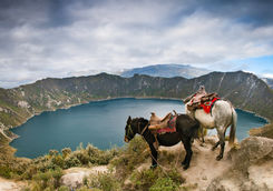 quilotoa lake and horses