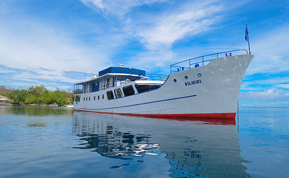 bilikiki liveaboard
