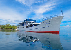 bilikiki liveaboard