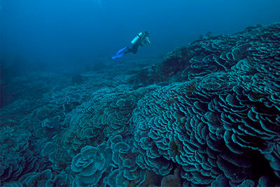 lava flow dive site