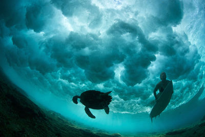 surfing maldives