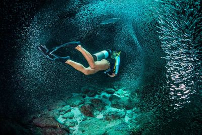 scuba diver swimming through a pod of fish
