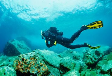 scuba diver