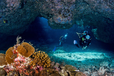 Astove diving