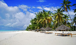 Tanzanian Coast Beach