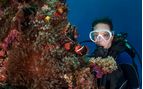 reef diving 