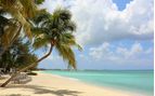 caribbean beach
