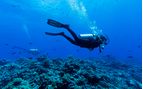 diving the Tiputa pass 
