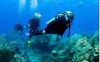 diving in st vincent 