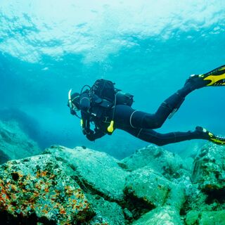 scuba diver