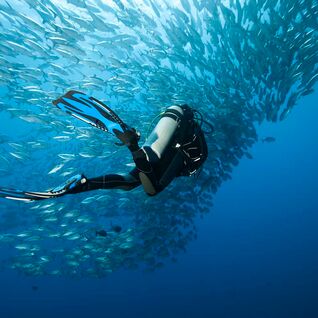 Diving Equipment