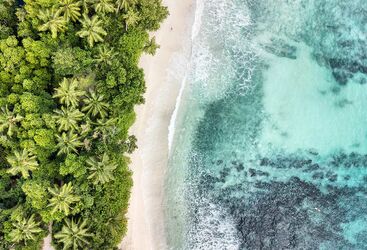 Luxury Diving in the Seychelles