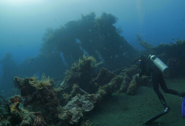 Costa Rica diving