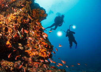 Europe diving