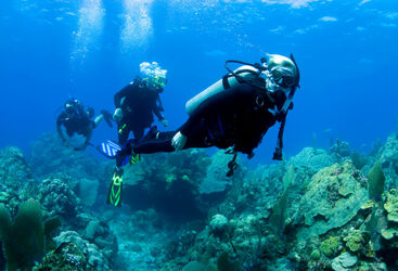 Bahamas Beginner Diving