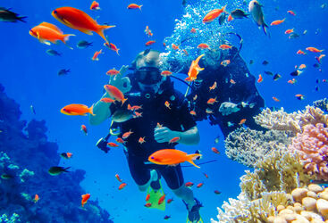 Egypt Beginner Diving