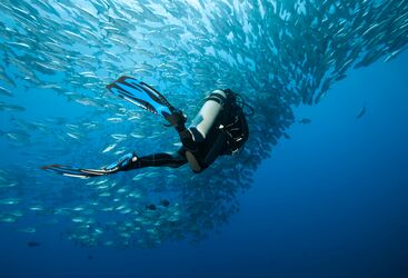 Beginner Diving in the Philippines