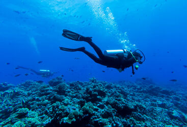 Drift Diving French Polynesia