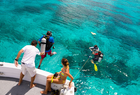 Divers entering the water