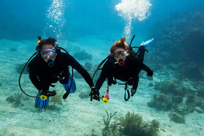Divers holding hands
