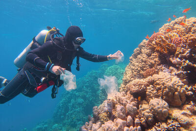 Diver collecting trash