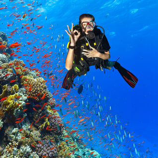 OK Diver