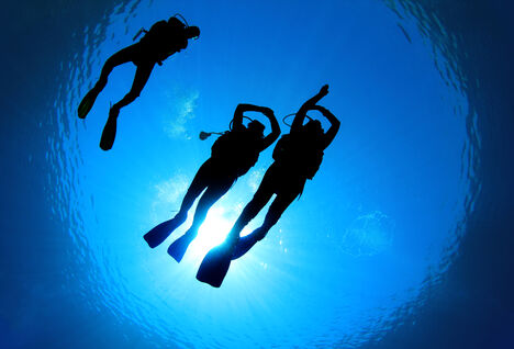 Divers on the surface