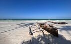 Zanzibar Beach