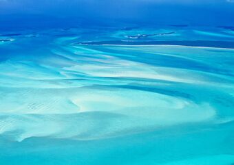 Ocean