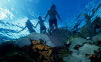 snorkellers on the surface