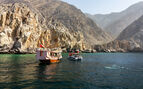  Dolphins safari, tourist dhow boat in fjords of Oman
