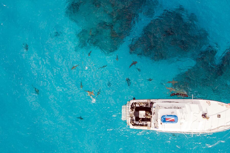 Aerial view of sharks at the Bahamas with a dive boat