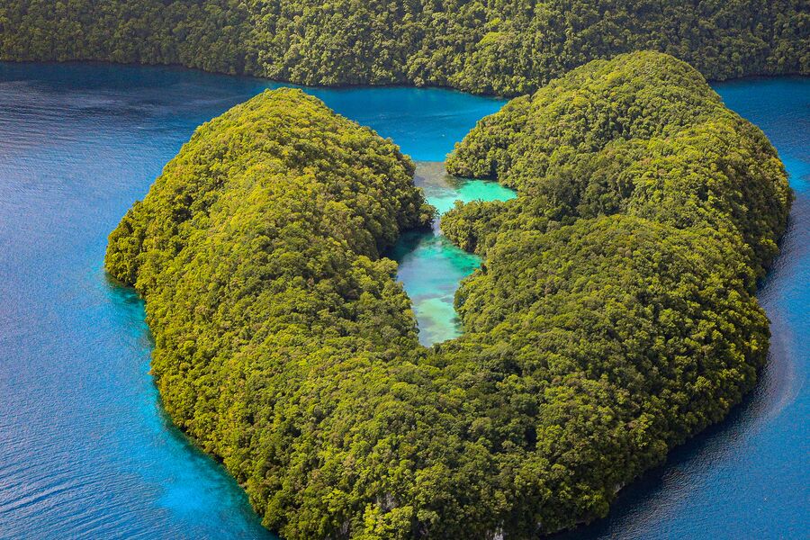 Aeriel photo of Palau showing lush green island surrounded by deep blue waters and clear blue skies